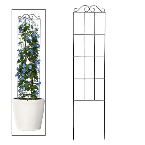 Garden trellis for climbing - trellis,