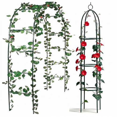 Metal garden arches - garden, obelisks