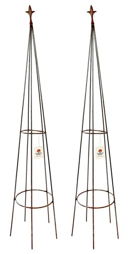 Obelisks garden support - support, plant