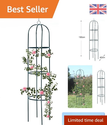 Elegant garden obelisk - obelisk,