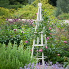 Wooden Garden Obelisk Sage