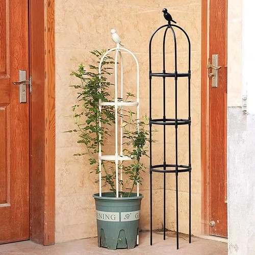 Garden obelisk climbing - garden,