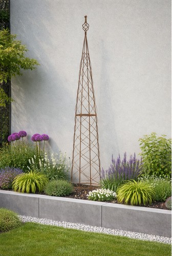 Plant climbing obelisk rose - climbing,
